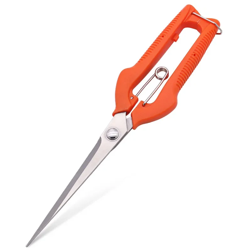 Grape Scissors Pruning Shears  - Furniture Joining Hardware 评论和价格